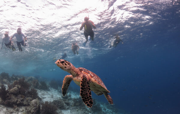 Bonaire