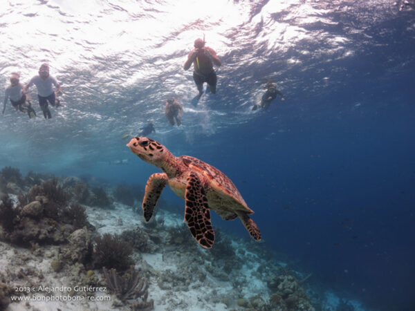 Bonaire