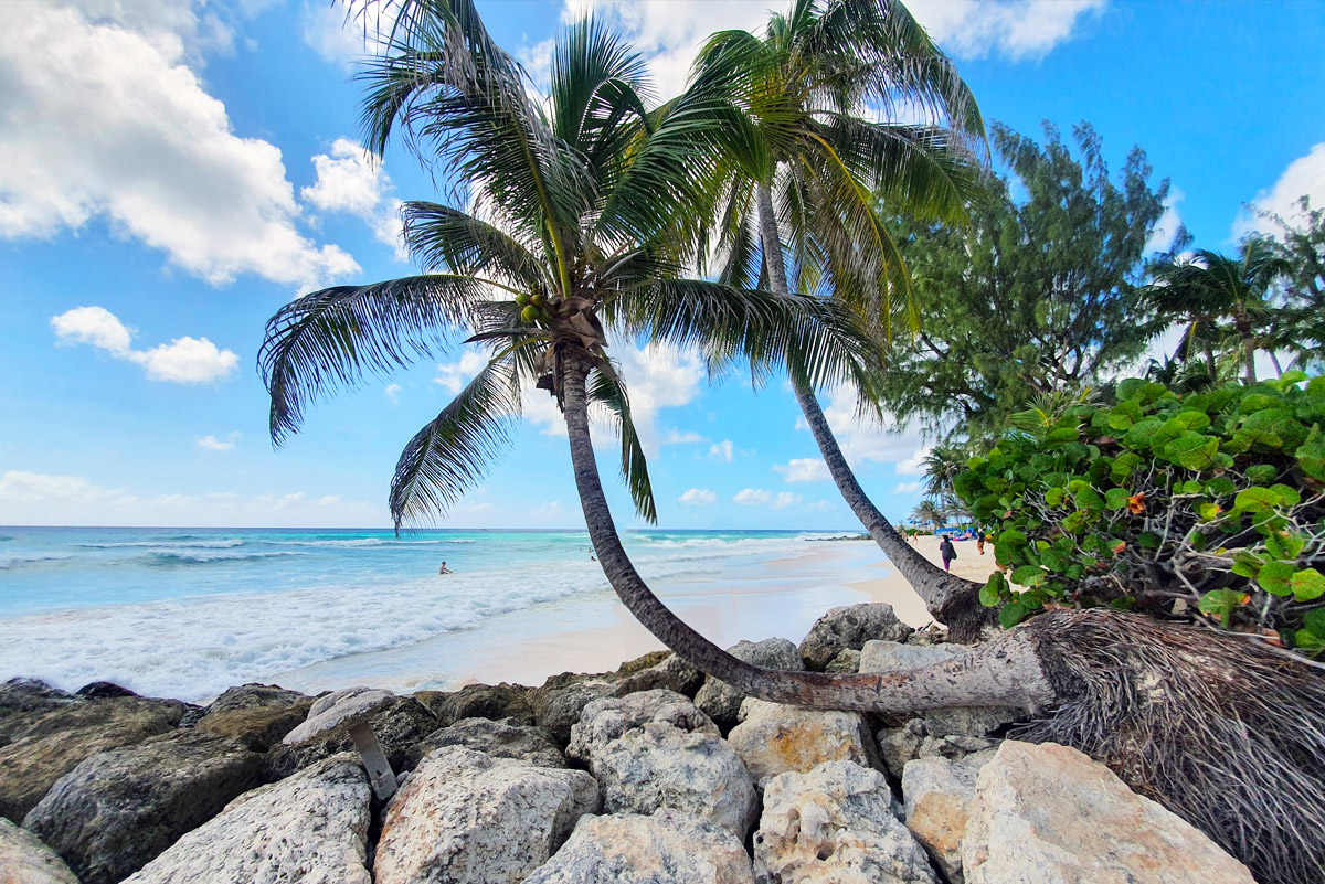 Dover Beach Barbados Guide to beaches in Barbados