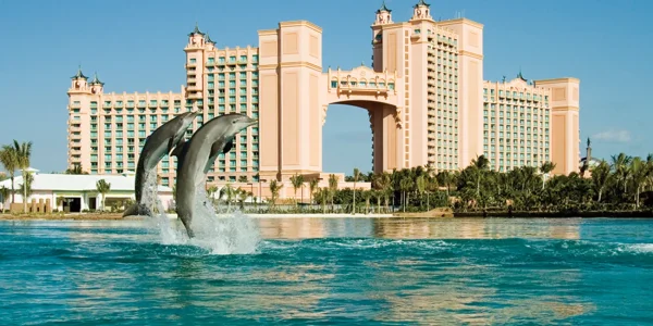 ATLANTIS_Dolphin-Cay_1180_high.png