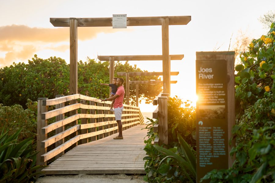 best Caribbean islands for families Barbados