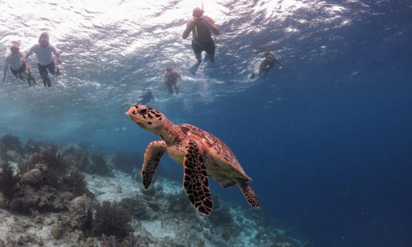 Schermafbeelding-2015-08-09-om-22-54-38-copy